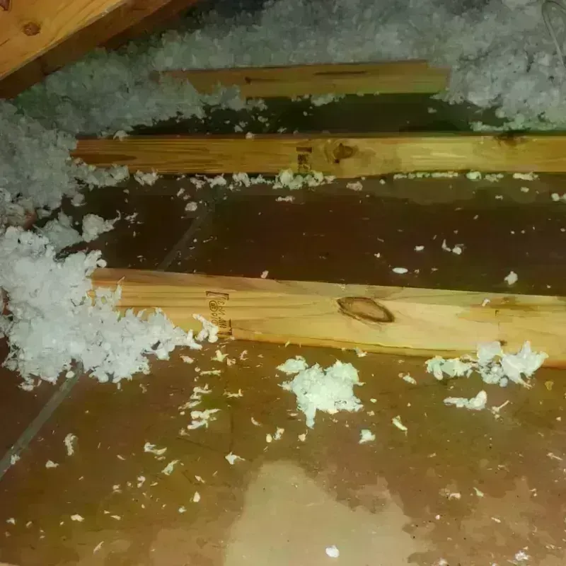 Attic Water Damage in Airway Heights, WA